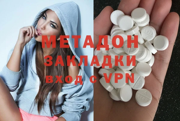 гидра Каменка