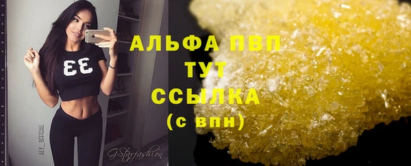 гидра Каменка